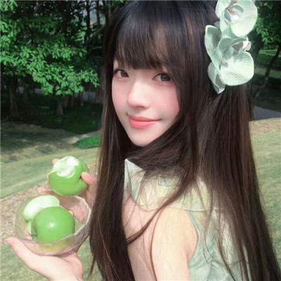 风飞鲨6
